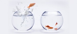 atlanta payroll software programs